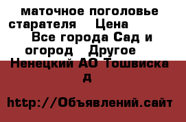 маточное поголовье старателя  › Цена ­ 3 700 - Все города Сад и огород » Другое   . Ненецкий АО,Тошвиска д.